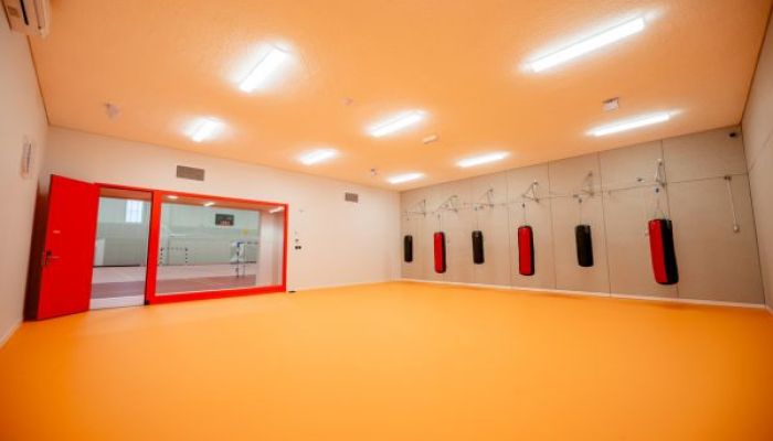 dojo.jpg