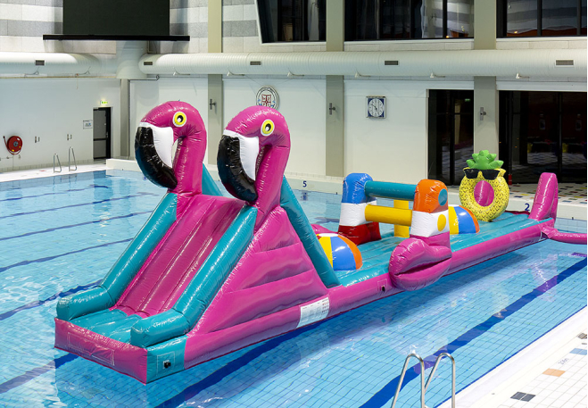 Zwembadrun Flamingo.jpg